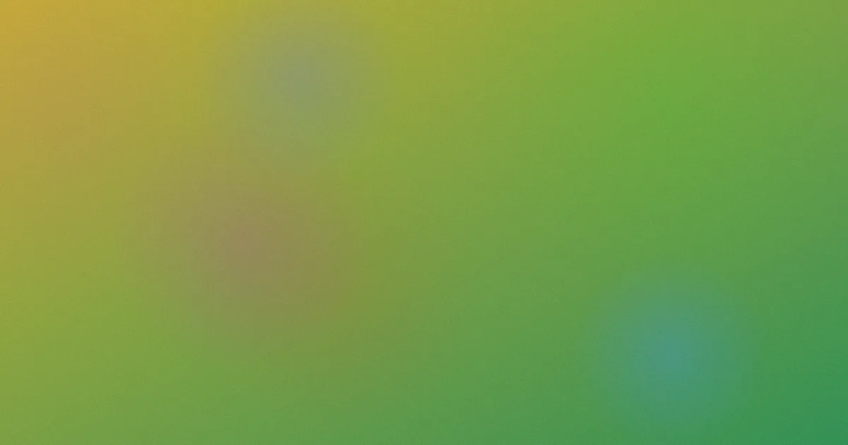 好看的动画电影怎么用？周末实测法